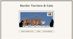 Desktop Screenshot of border-terriers.nl